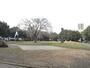 公園　北浦和公園（公園）まで300m