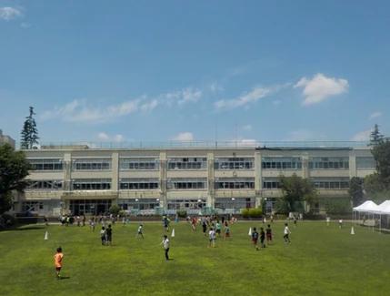 小学校　杉並区立済美小学校（小学校）まで506m