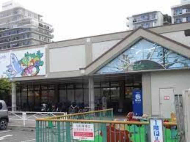 スーパー　関西スーパー日下店（スーパー）まで805m
