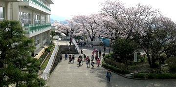 小学校　秦野市立北小学校（小学校）まで1215m