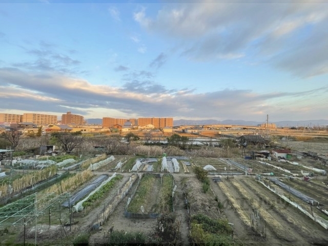 【大和郡山市柳のマンションの眺望】