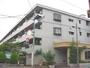 上井草駅より徒歩9分 4階 築38年6ヶ月の賃貸物件