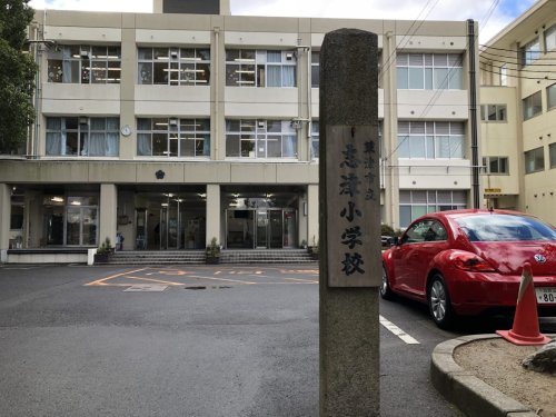 小学校　草津市立志津小学校（小学校）まで702m