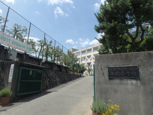 小学校　西宮市立神原小学校（小学校）まで1247m