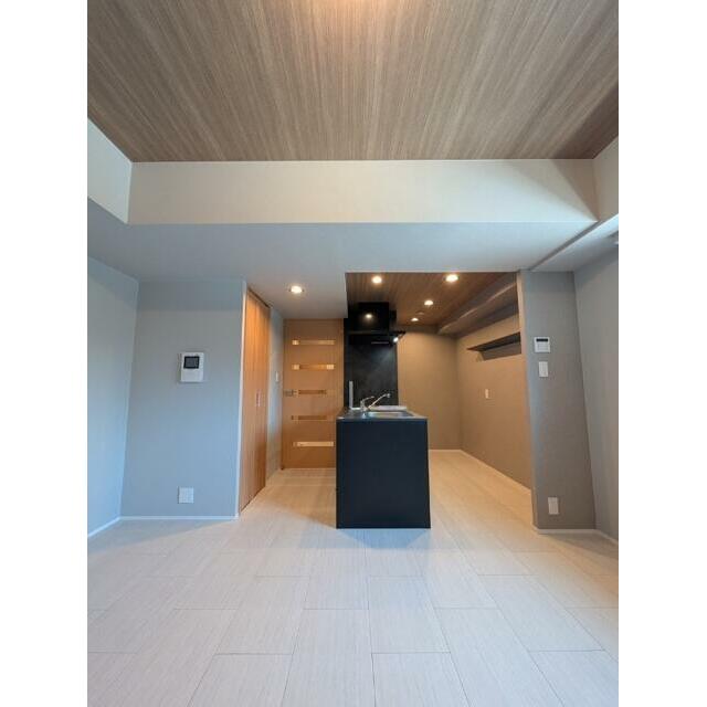 レジディア御茶ノ水 部屋番号:1105の居間写真
