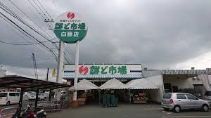 スーパー　鮮ど市場白藤店（スーパー）まで2954m