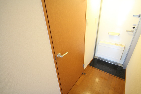 玄関　※別部屋の写真です