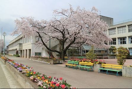 【鶴ヶ島新町ハイツの小学校】