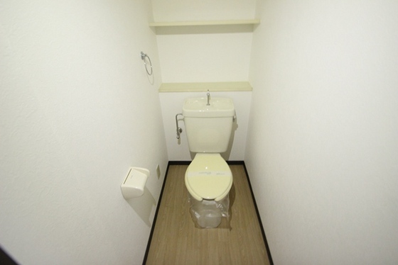 トイレ　※他号室の写真になります