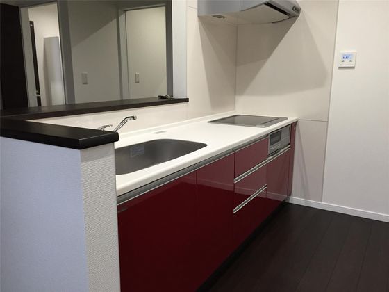 キッチン　他号室のお写真です