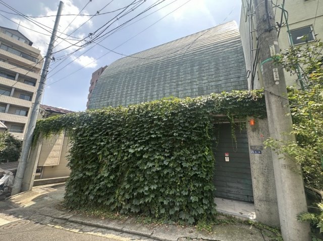 建物外観　※蔦は剪定済みとなります