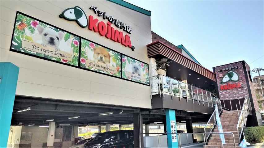 その他　コジマ（その他）まで850m