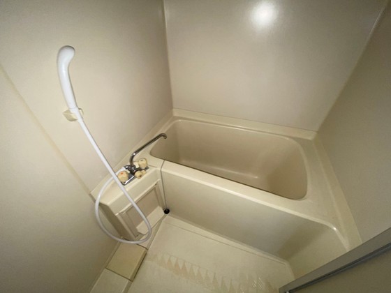 バス・シャワールーム　※別部屋の写真です