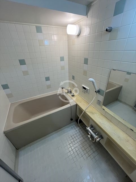 バス・シャワールーム　セイワパレス四天王寺　風呂