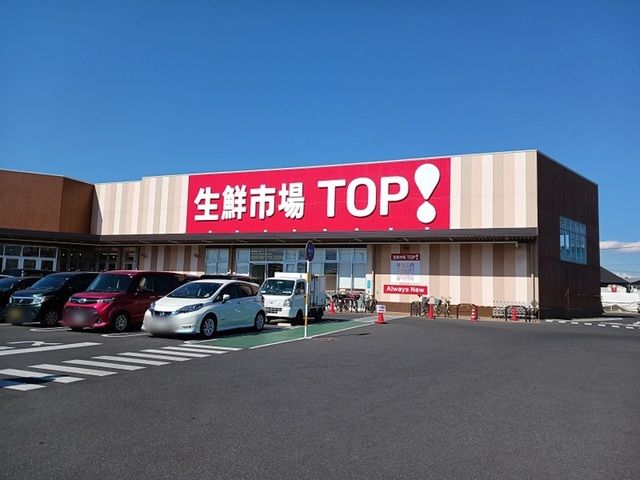 スーパー　生鮮市場TOP 八潮伊草店（スーパー）まで550m