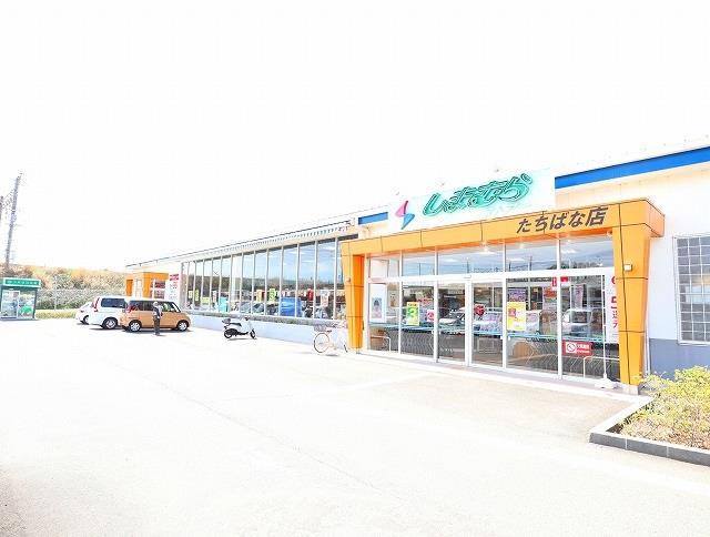 スーパー　しまむらストアーたちばな店（スーパー）まで515m