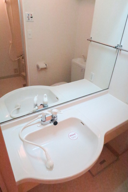 洗面設備　シャワー付きの洗面台です。