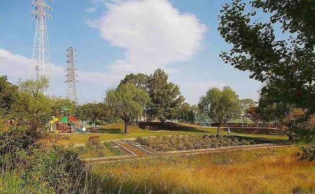 公園　石垣池公園（公園）まで1200m