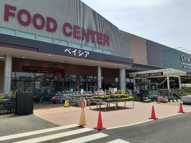 ショッピングセンター　カインズスーパーセンター（ショッピングセンター）まで2400m