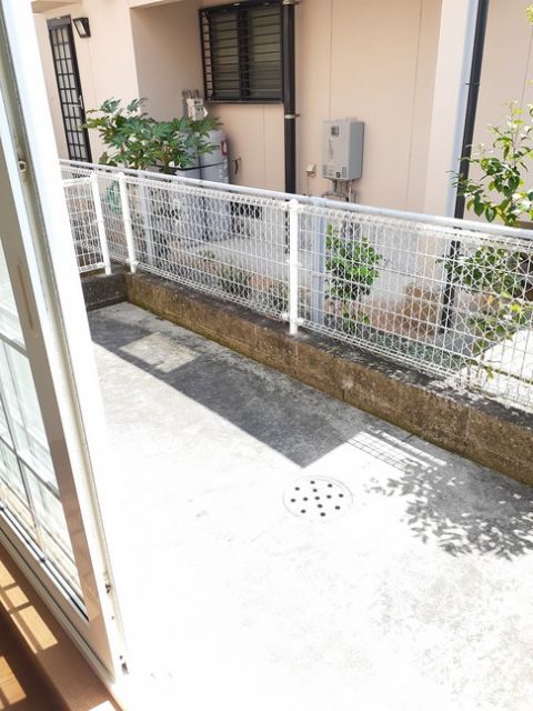 庭