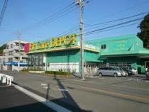 ドラックストア　Fit Care DEPOT二ツ池店（ドラッグストア）まで432m