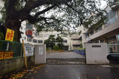 小学校　市川市立大柏小学校（小学校）まで1294m