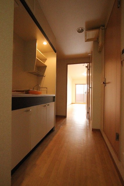 キッチン　同物件別号室のものです。