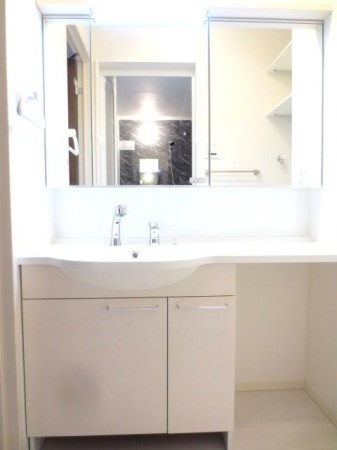 洗面設備　105号室の写真