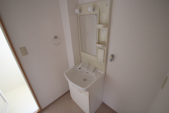 洗面設備　※別号室の写真です