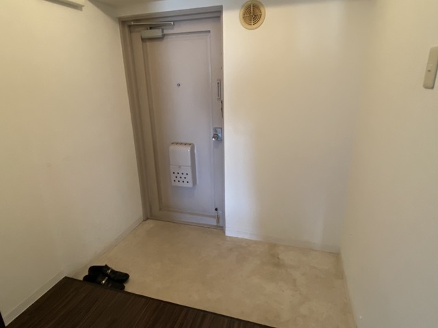 玄関　大きなシューズボックスを置けます