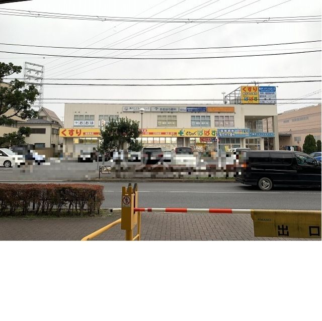 ドラックストア　どらっぐぱぱす 奥戸店（ドラッグストア）まで534m