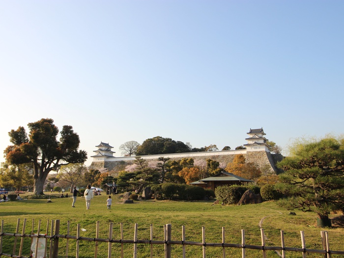 公園　明石公園（公園）まで1000m