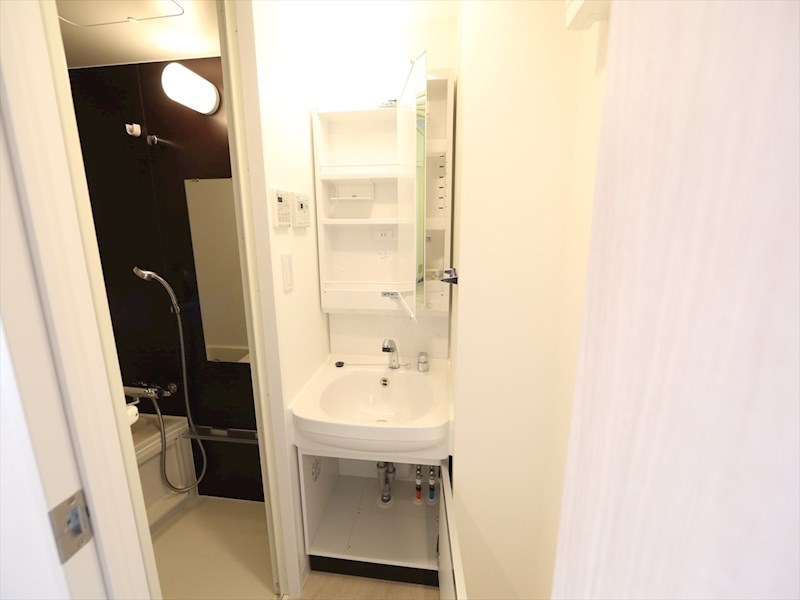 洗面設備　脱衣所　独立洗面台（シャンプードレッサー付）収納スペース有