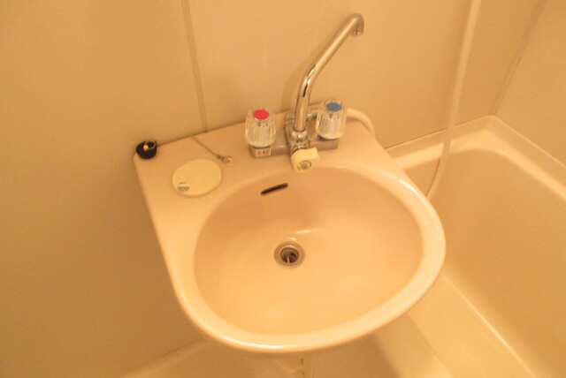 洗面設備　浴室には洗面ボウルがあります