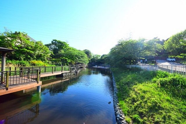 公園　岸根公園（公園）まで555m