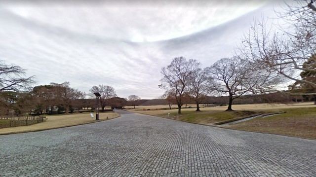 公園　自然文化園（公園）まで2616m