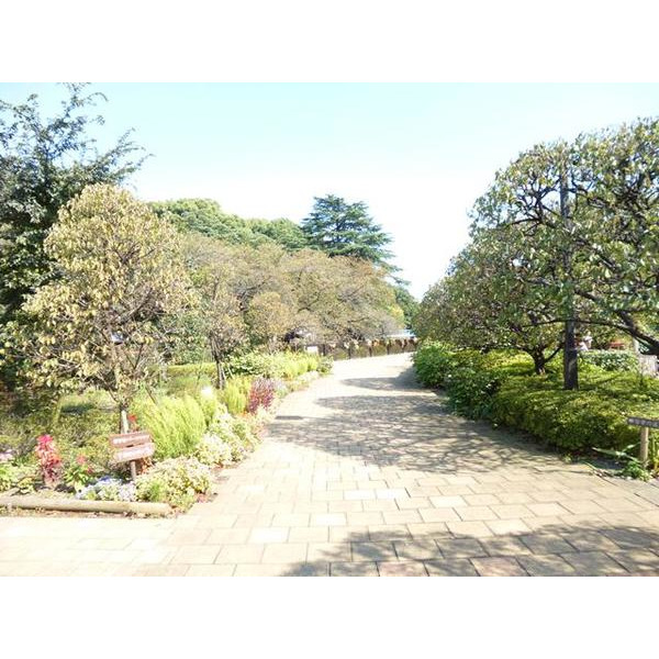 公園　哲学堂公園（公園）まで586m