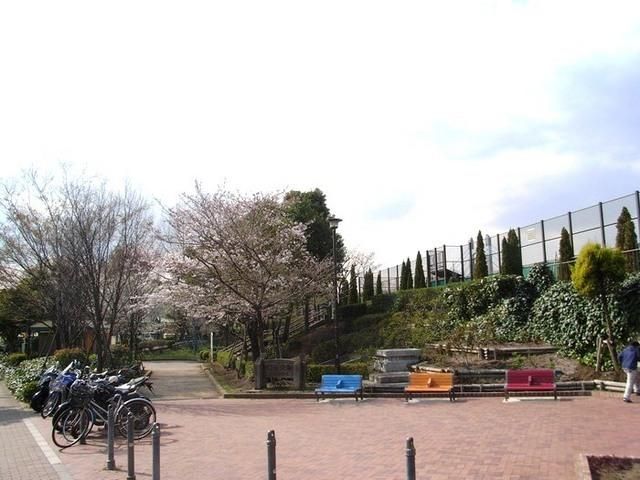 公園　木場公園（公園）まで250m