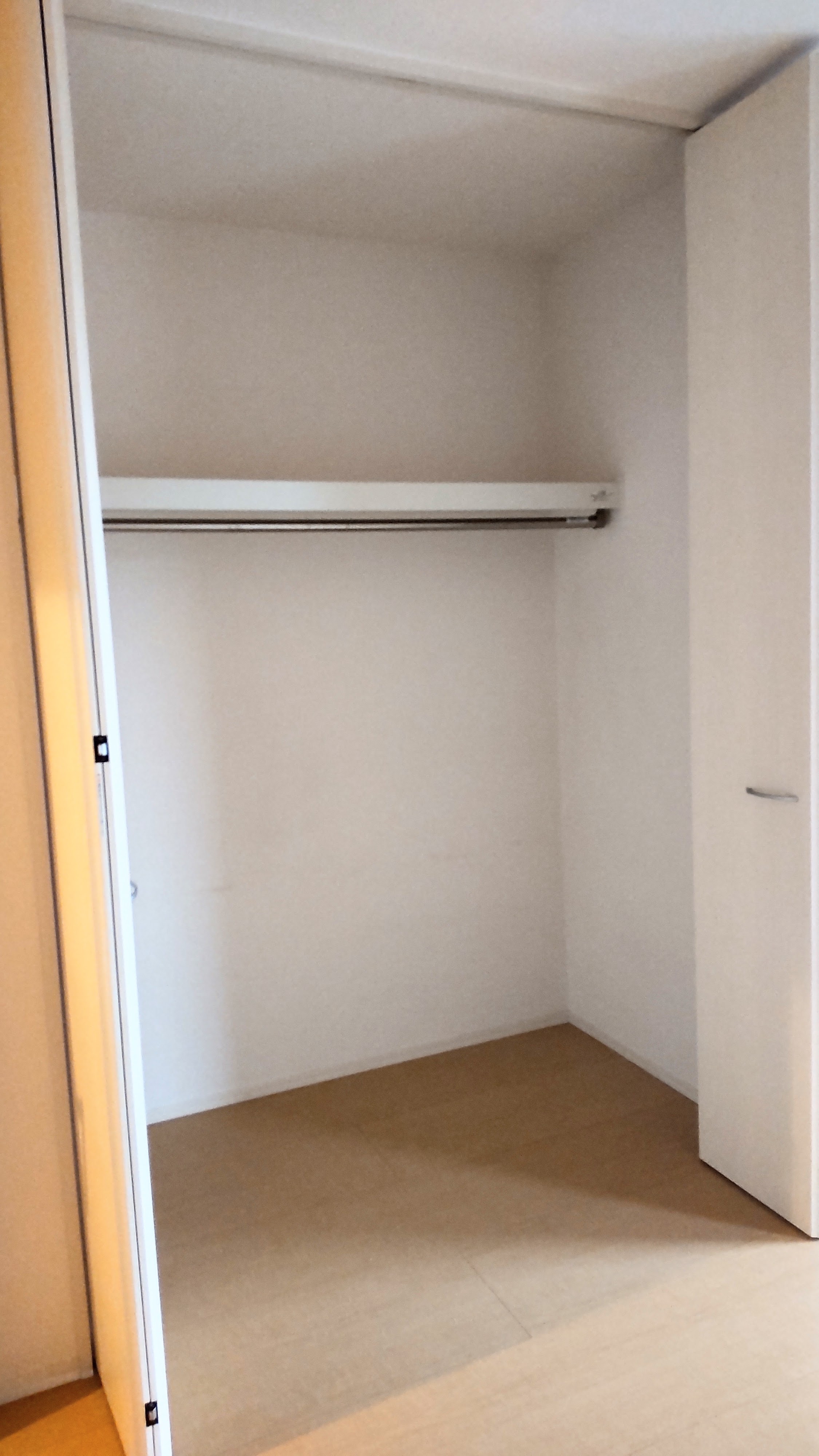 収納　クリーニング・修繕前