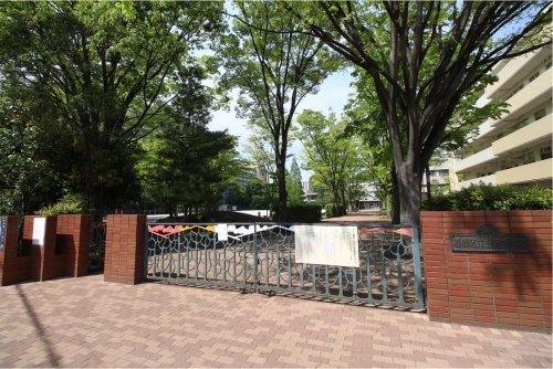 小学校　板橋区立金沢小学校（小学校）まで386m