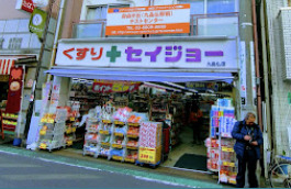 ドラックストア　くすりセイジョー 九品仏店（ドラッグストア）まで970m