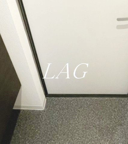 玄関　玄関です。（同仕様です。）