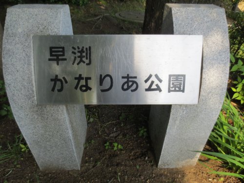 公園　早渕かなりあ公園（公園）まで233m