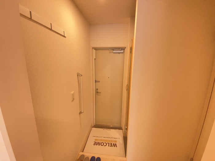玄関　※同タイプの部屋写真です