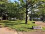 公園　中比恵公園（公園）まで151m