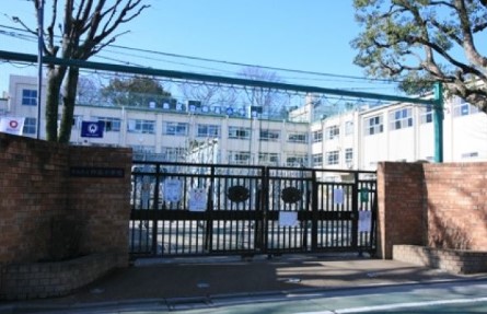 小学校　豊島区立仰高小学校（小学校）まで537m