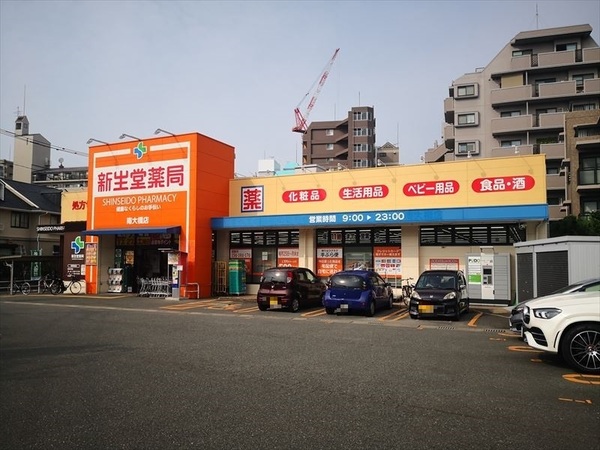 ドラックストア　ドラッグ新生堂南大橋店（ドラッグストア）まで480m