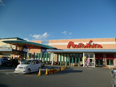 スーパー　マルナカ 玉津店（スーパー）まで1353m