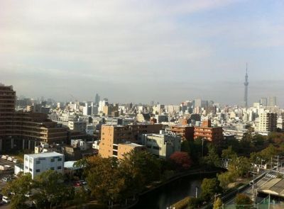 眺望　参考写真