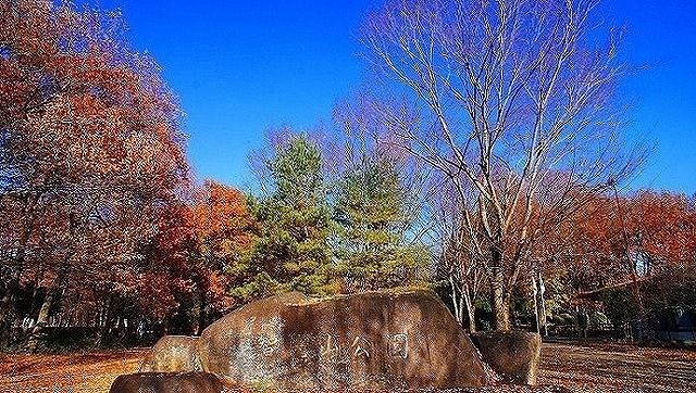 公園　智光山公園（公園）まで1600m